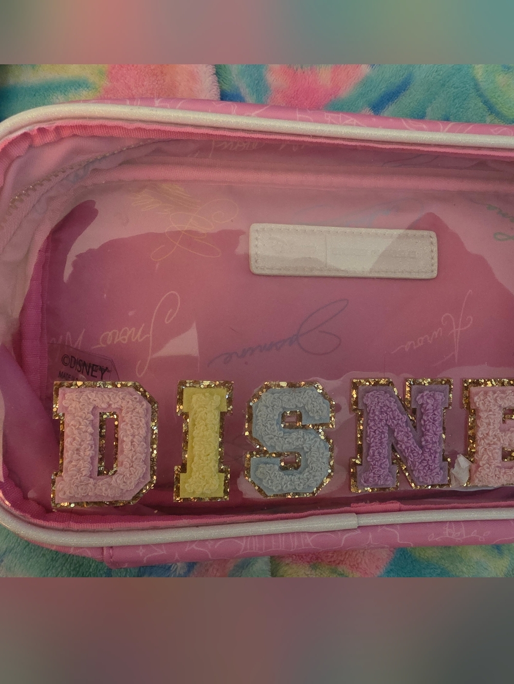Stoney Clover X Disney Princess Clearfront Small Pouch NWT